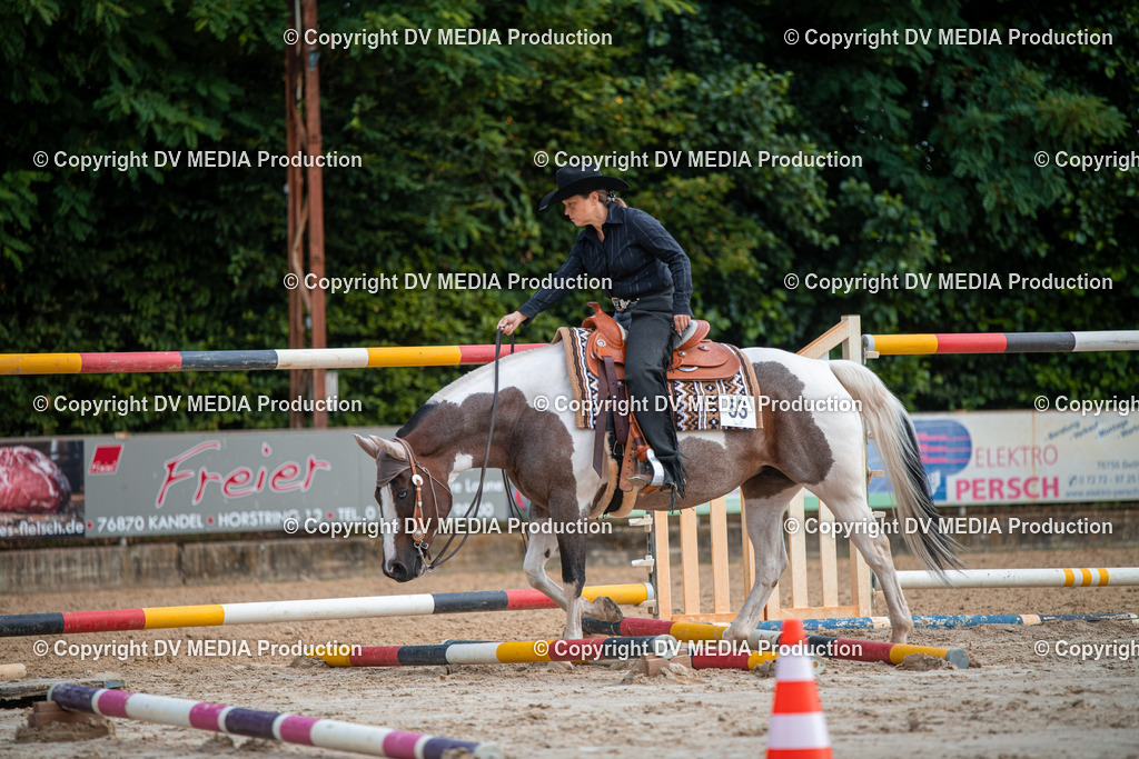 ZS3_9162 | dv-media-shop - Realisiert mit Pictrs.com