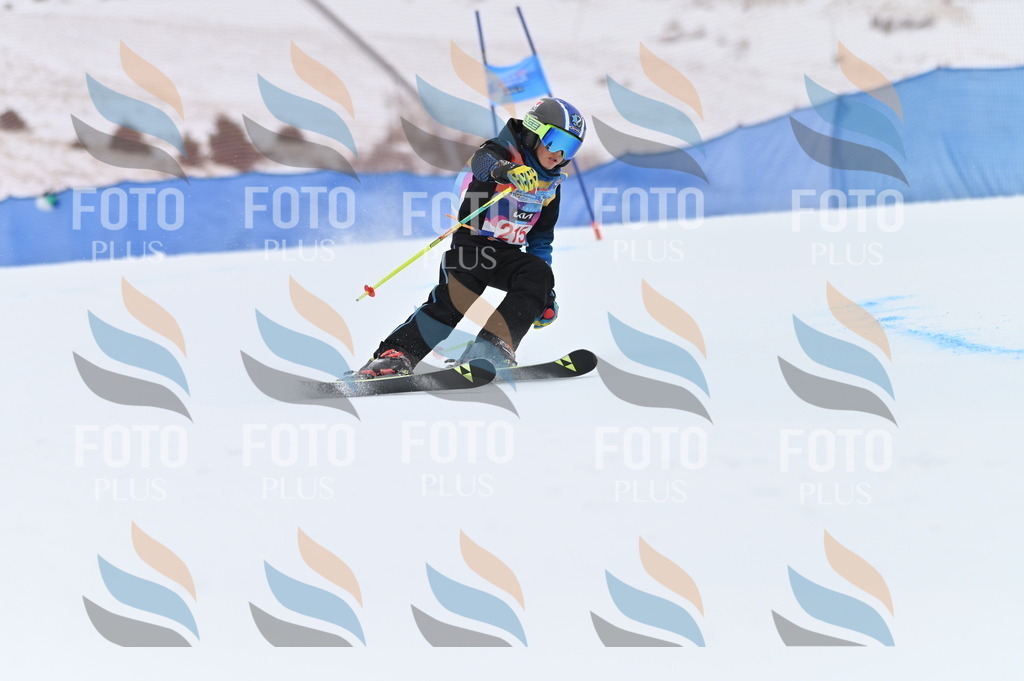 BGV_2731 | holidayphoto