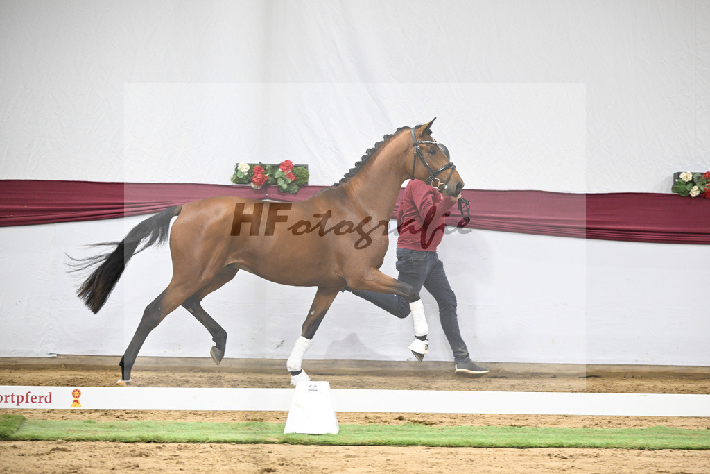 Kat-Nr. 44 Va Bene x Monte Bellino_Alfred Kohn_47251532 | hf-fotografie - Realisiert mit Pictrs.com