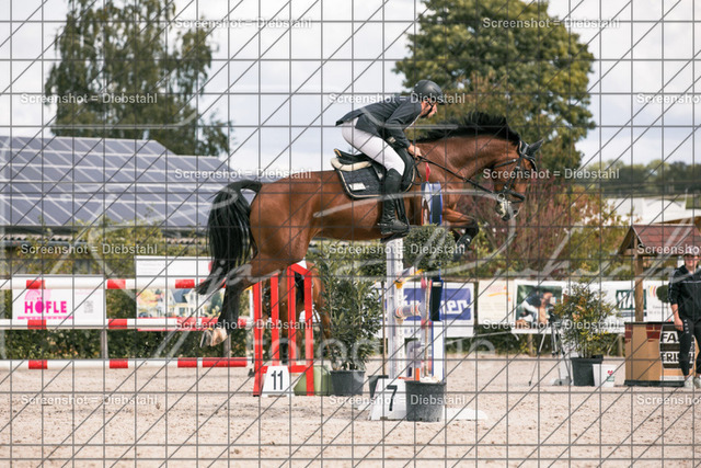 _W6A2429 | ronjaprokoschfotografie - Realisiert mit Pictrs.com