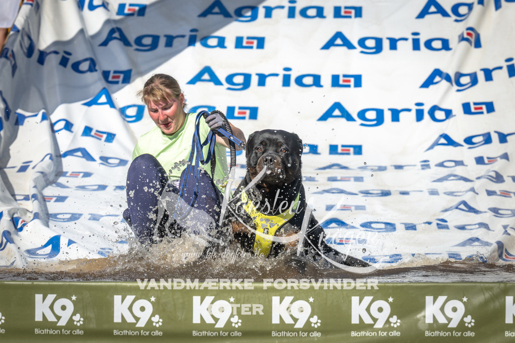 1624_ZZ90037 | kk-dogfotos