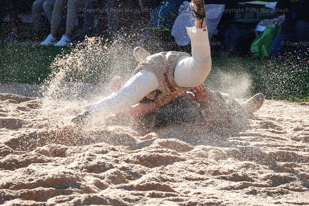 DSC01959 | Schwingen - Realisiert mit Pictrs.com