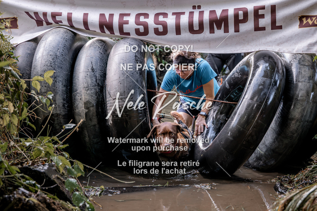 nelerasche_Hunsrück2026_Sa1400-1500_96 | nelerasche