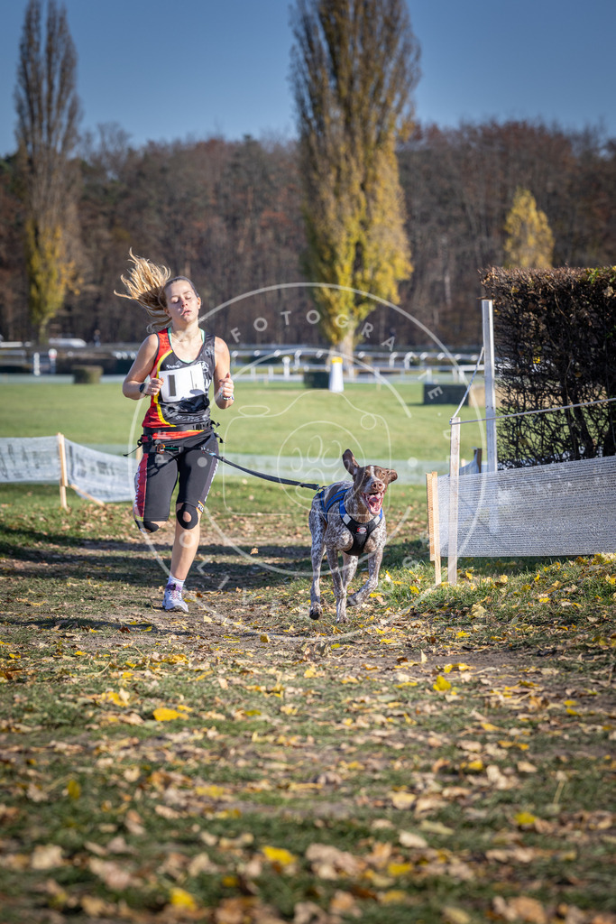 CaniXpix_DV3A9216 | Hundefotografie, Tierfotograf, Pfotenfotografie, Fotoshooting Hund, Hunde Portrait, Hundesport, Hundeportraits, Heideshooting, Hunde, Sportfotograf, Hundefotograf, Turnierhundsport, THS,  - Realisiert mit Pictrs.com
