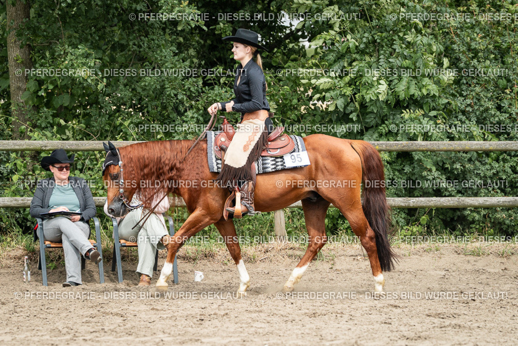 DSC02532 | Pferdegrafie