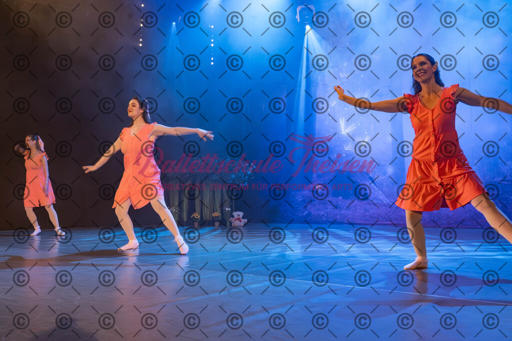 Ballettaufführung-916 | Bildershop Lem'n Entertainment - Realisiert mit Pictrs.com