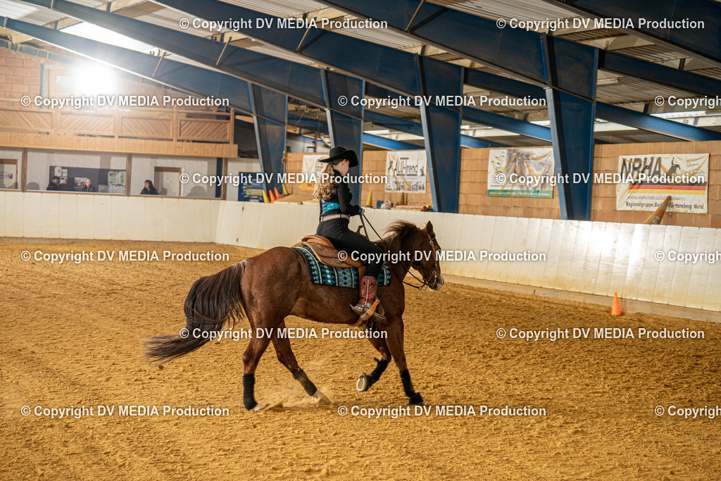 MIT00629 | dv-media-shop - Realisiert mit Pictrs.com