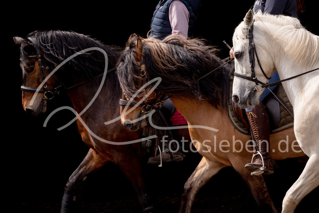 846A0922 | fotosleben - Realisiert mit Pictrs.com