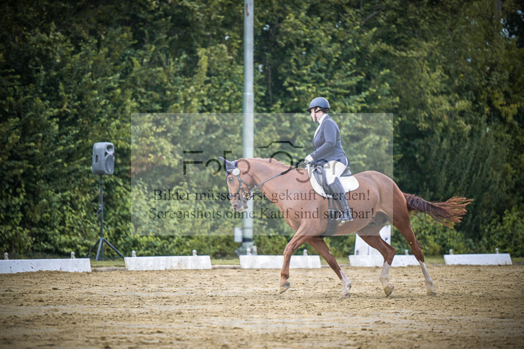 DOS_9742 | Entdecke hochwertige Reitturnierfotos von Foto Oger. Professionell, emotional und authentisch – jetzt Lieblingsmomente im Shop bestellen.Deutschlandweite Turnierfotografie. - Realisiert mit Pictrs.com