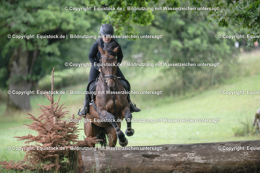 20250726_Vielseitigkeitslehrgang-Marbach_0421 | Foto: Thomas Hartig