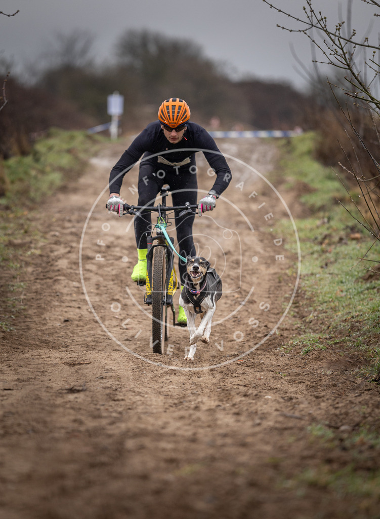 DV3A8861 | Hundefotografie, Tierfotograf, Pfotenfotografie, Fotoshooting Hund, Hunde Portrait, Hundesport, Hundeportraits, Heideshooting, Hunde, Sportfotograf, Hundefotograf, Turnierhundsport, THS,  - Realisiert mit Pictrs.com