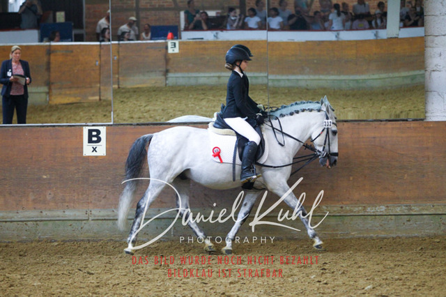 DKP44564 | Turniersportfotografie; Pferdefotografie; Dressurfotografie