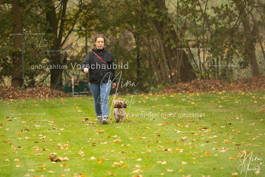 _16A0550 | Einzigartige Fotos von Hunden & Menschen –Actionfotos, Portraits, Vereinsaufnahmen & Paarshootings – authentisch, lebendig & mit Herz.