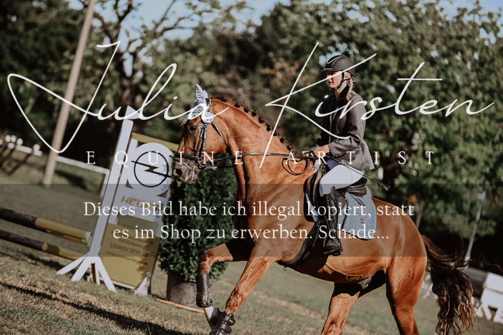 DSC_9301 | Pferde- und Turnierfotografie in Westsachsen. Pferdeportraits, Auftragszeichnungen und intuitive Kunst.