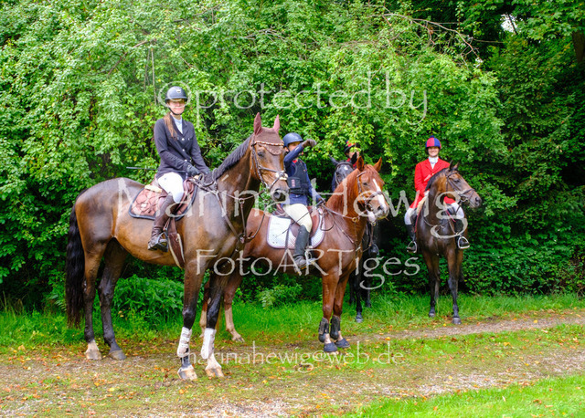 Jagd Perdoel 26 Fuji-9822_MarinaHewig | Fotografie, FotoArt, PferdesportArt, Pferdesportfotografie, Landschaftsfotografie, Reisefotografie, Reise, Pferde - Realisiert mit Pictrs.com