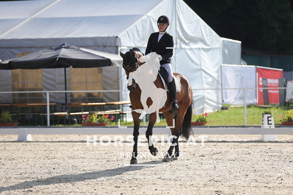 0P6A4236 | Willkommen bei Brunnmayr - Design & Fotografie – Ihrem Spezialisten für Reitturniere und Pferdeveranstaltungen in Oberösterreich, Salzburg und Bayern! Seit über 17 Jahren sind wir leidenschaftlich dabei.