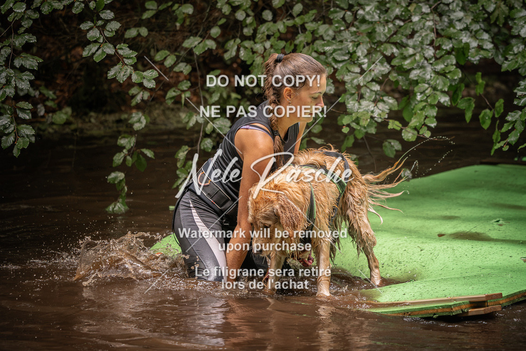 nelerasche_Wingst_Sa1330-1400_339 | nelerasche