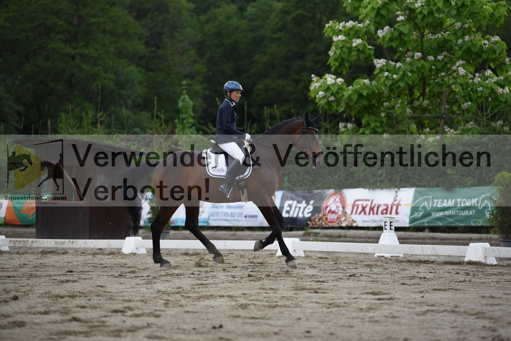 DSC_6726 | equestrian-live-com