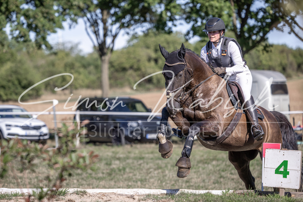 20260906-_3LI2326 | Tierfotografie Pferde, Hunde, Katzen, Haustiere.
Turnierfotografie Reitturniere, Reiten, Springreiten, Dressur in Hanau, dem Main-Kinzig-Kreis und dem Rhein-Main- Gebiet um Frankfurt