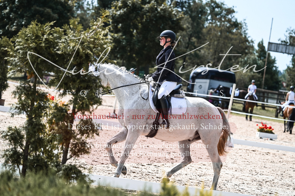 DSC_5306 | Pferde- und Turnierfotografie in Westsachsen. Pferdeportraits, Auftragszeichnungen und intuitive Kunst.