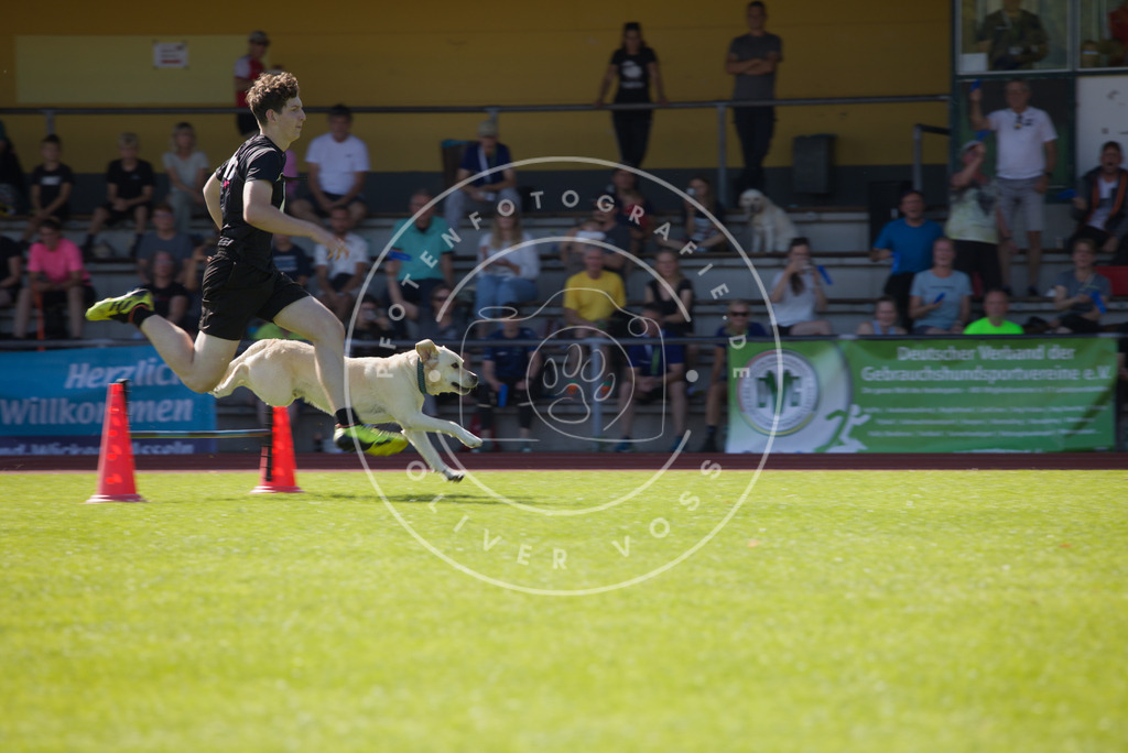 0L8A7764 | Hundefotografie, Tierfotograf, Pfotenfotografie, Fotoshooting Hund, Hunde Portrait, Hundesport, Hundeportraits, Heideshooting, Hunde, Sportfotograf, Hundefotograf, Turnierhundsport, THS,  - Realisiert mit Pictrs.com