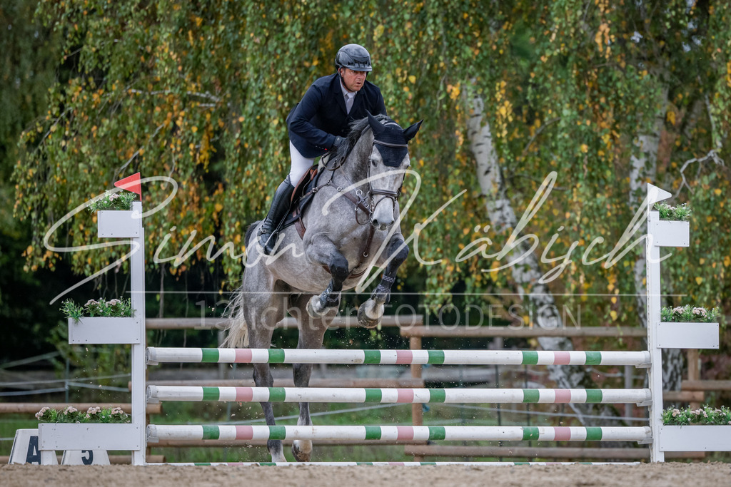 20251012-_3LI3682 | Tierfotografie Pferde, Hunde, Katzen, Haustiere.
Turnierfotografie Reitturniere, Reiten, Springreiten, Dressur in Hanau, dem Main-Kinzig-Kreis und dem Rhein-Main- Gebiet um Frankfurt