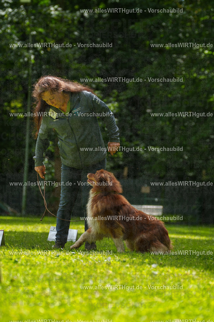 @allesWIRTHgut_Tierfotografie - www.allesWIRTHgut.de - 7R500817 | Professionelle Tierfotografie in Mönchengladbach von Daniel Wirth (allesWIRTHgut). Liebevolle & natürliche Bilder von Hunden & Katzen für unvergessliche Erinnerungen.