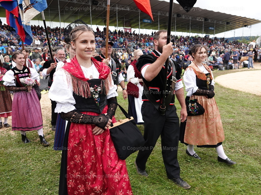 DSC08078 | Schwingen - Realisiert mit Pictrs.com