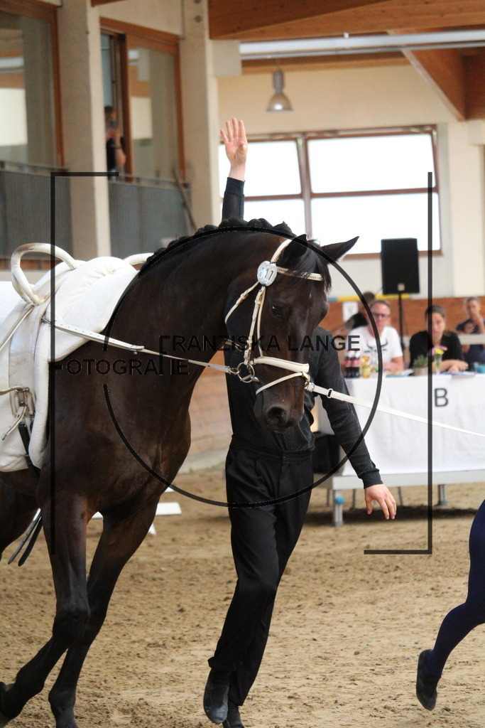 IMG_2079 | franziskalange - Realisiert mit Pictrs.com