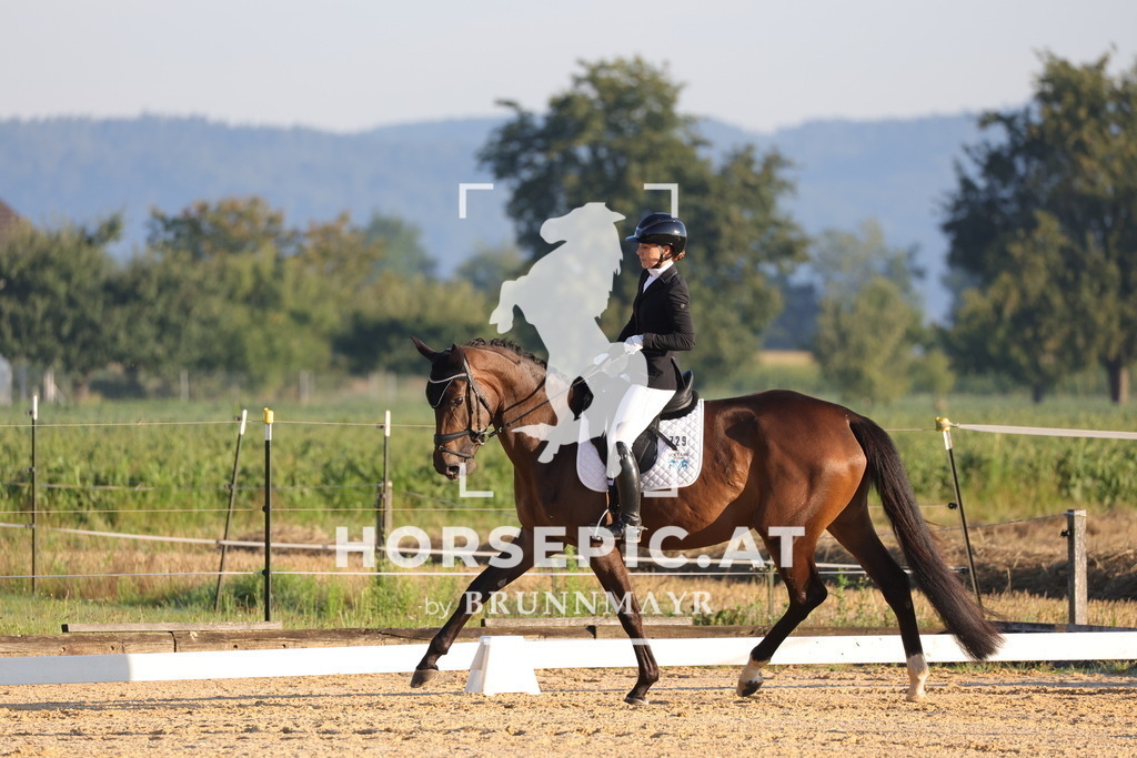 0P6A6516 | Willkommen bei Brunnmayr - Design & Fotografie – Ihrem Spezialisten für Reitturniere und Pferdeveranstaltungen in Oberösterreich, Salzburg und Bayern! Seit über 17 Jahren sind wir leidenschaftlich dabei.