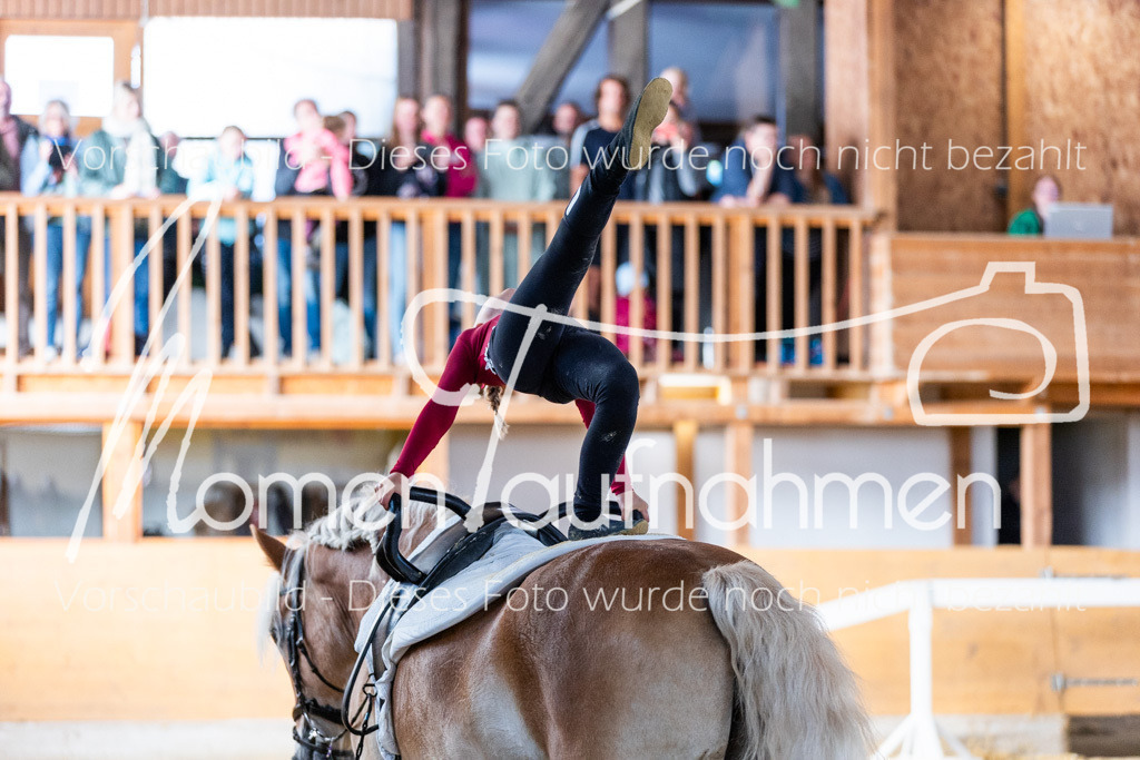 SS-Mini-103 | MomenTaufnahmen Pferdesportfotos