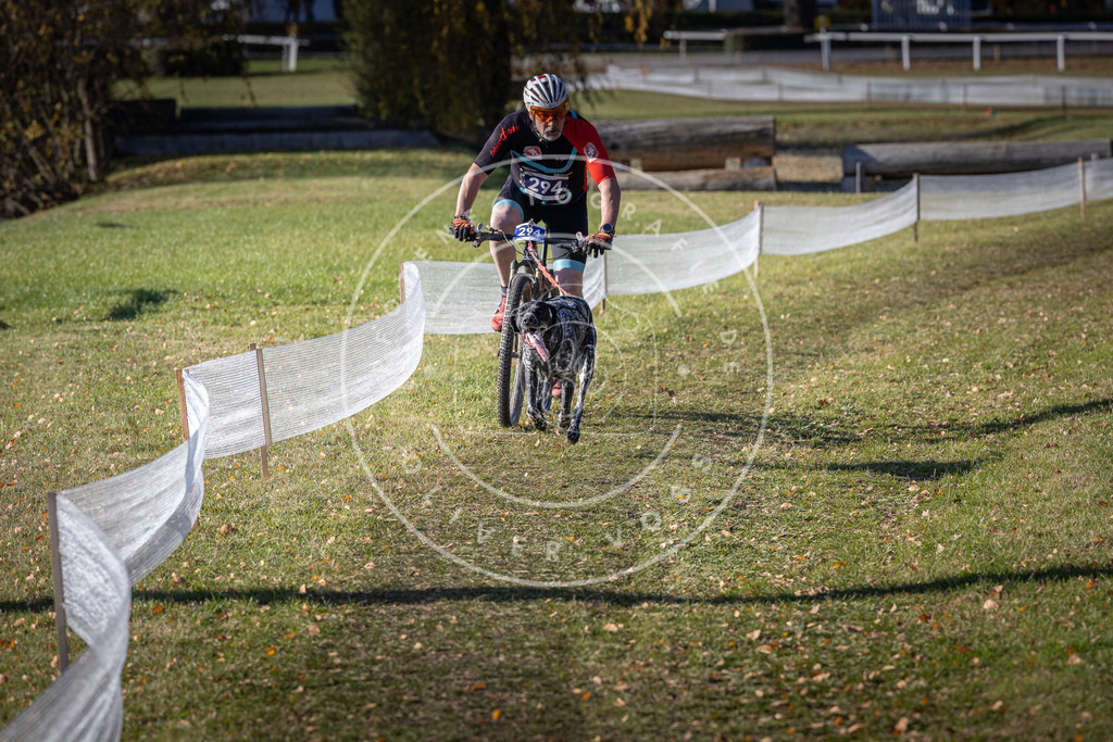 CaniXpix_DV3A5895 | Hundefotografie, Tierfotograf, Pfotenfotografie, Fotoshooting Hund, Hunde Portrait, Hundesport, Hundeportraits, Heideshooting, Hunde, Sportfotograf, Hundefotograf, Turnierhundsport, THS,  - Realisiert mit Pictrs.com