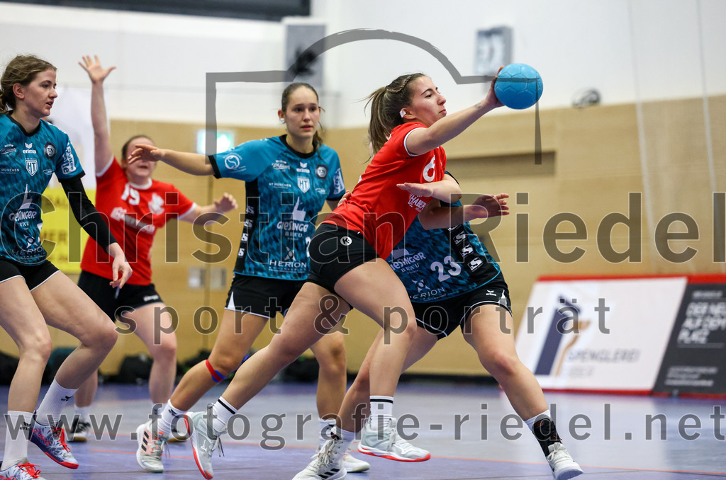 2022-11-27_113_SV_Anzing_gegen_HT_Muenchen_II | Anzing, Deutschland, 27.11.2022:
Handball, Bezirksliga 2022 / 2023, 7. Spieltag, SV Anzing gegen HT München II, Endergebnis: 28:32

Katharina Martin (HT München, #21), Caroline Bachmayer (SV Anzing, #8), Lucie Hartmann (HT München, #23)

Foto: Christian Riedel / fotografie-riedel.net