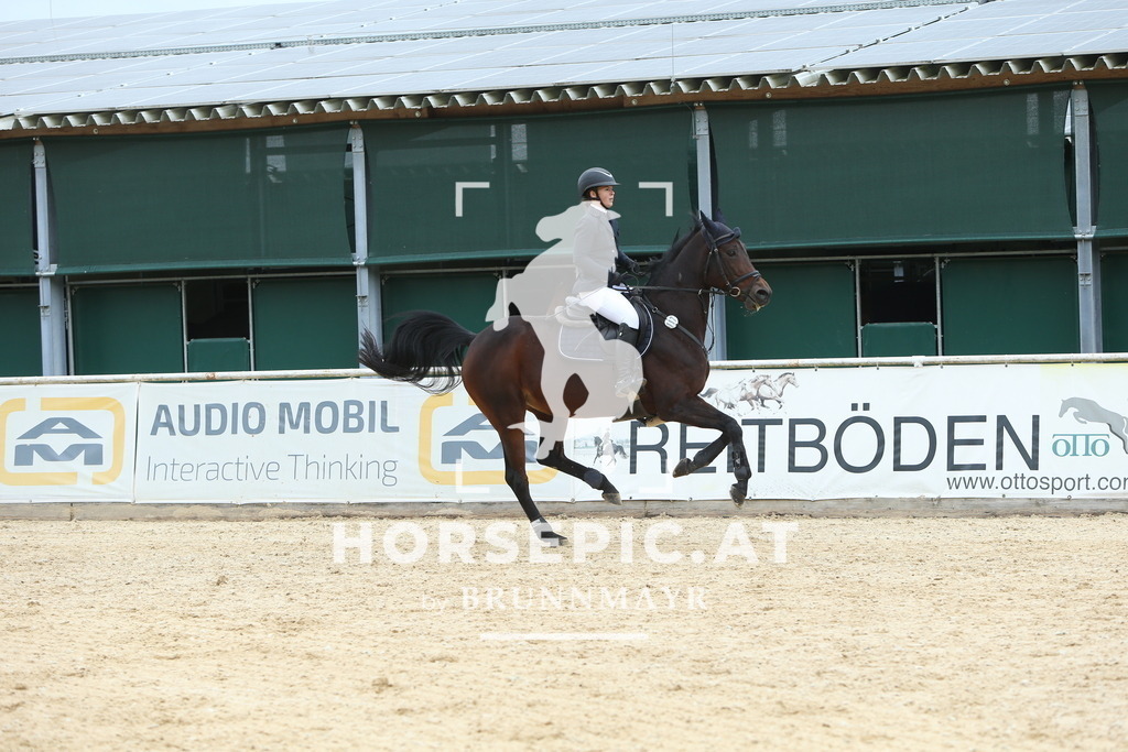 DL2Q1962 | Willkommen bei Brunnmayr - Design & Fotografie – Ihrem Spezialisten für Reitturniere und Pferdeveranstaltungen in Oberösterreich, Salzburg und Bayern! Seit über 17 Jahren sind wir leidenschaftlich dabei.
