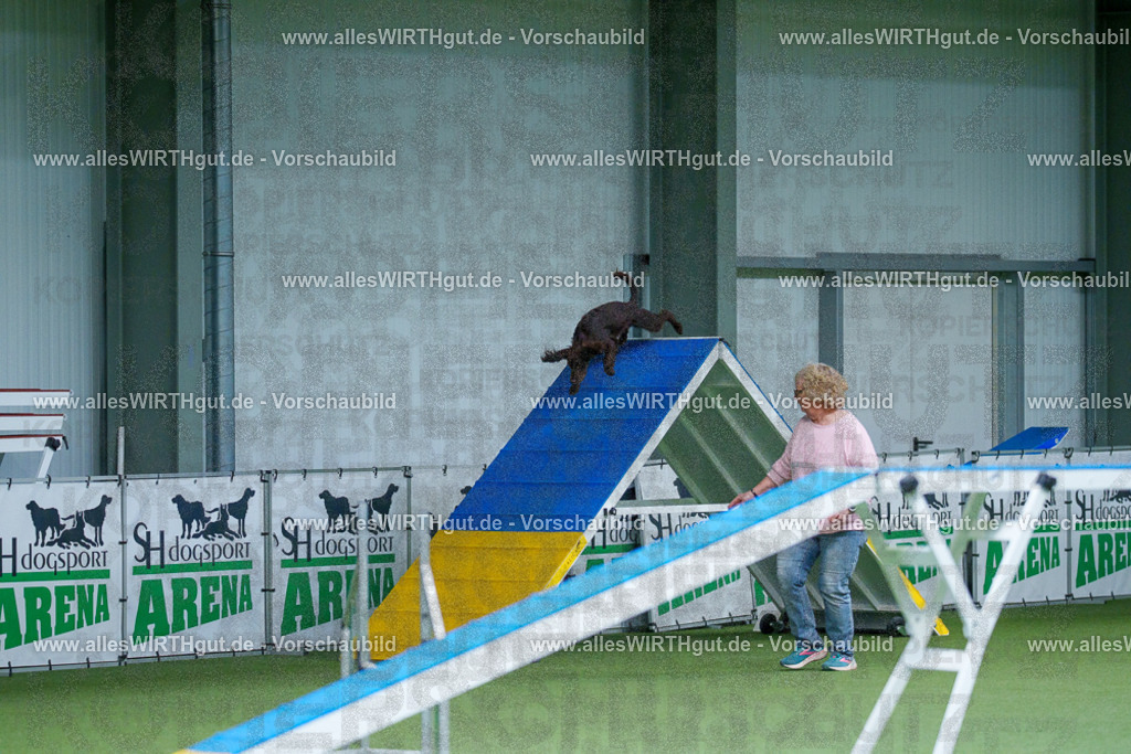 @allesWIRTHgut_Tierfotografie - www.allesWIRTHgut.de - 2604260804-7R506568 | Professionelle Tierfotografie in Mönchengladbach von Daniel Wirth (allesWIRTHgut). Liebevolle & natürliche Bilder von Hunden & Katzen für unvergessliche Erinnerungen.