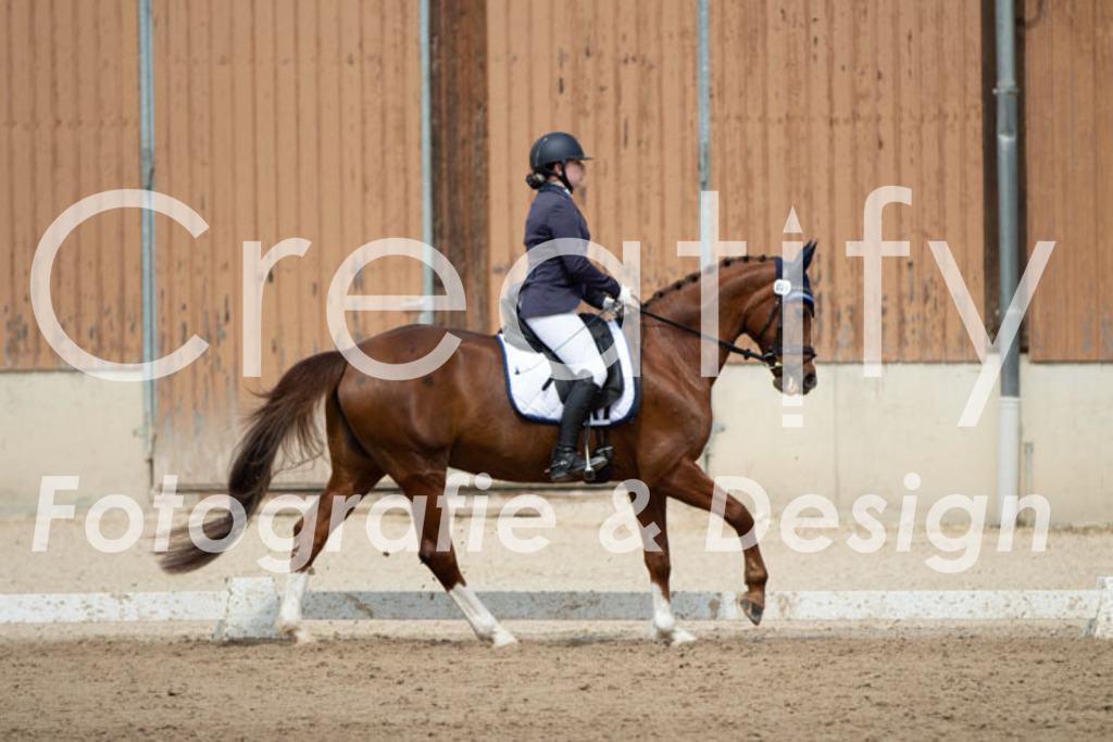 IMG_5443 | Creatify Fotografie
