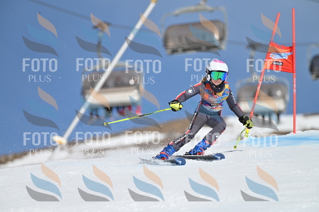 BGV_9176 | holidayphoto