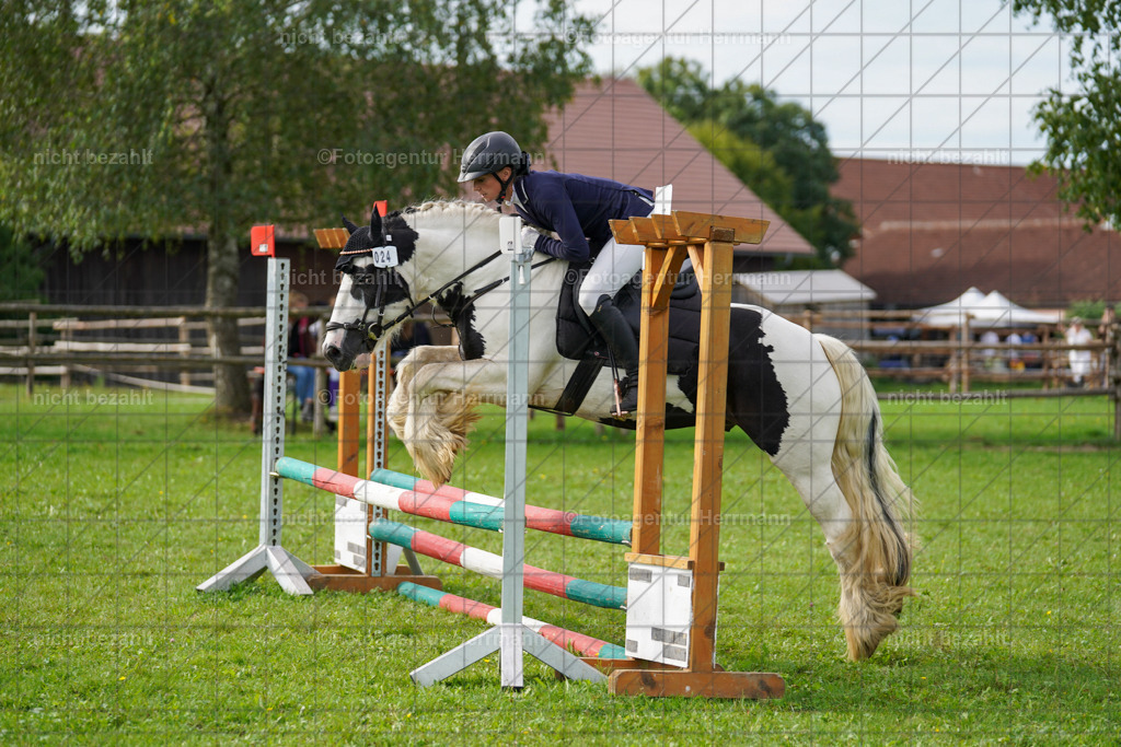 20230917-FAH09167 | Landsberg am Lech, 2023, Kaufbeuren, Kempten, Allgäu, Turnierfotografen Bayern, Fotoagentur Herrmann, Turnierbilder, Reitsport Fotos, Pferdefotograf, Augsburg, Bad Tölz, Dachau, Karlsfeld, Memmingen, Buchloe, Schwabmünchen