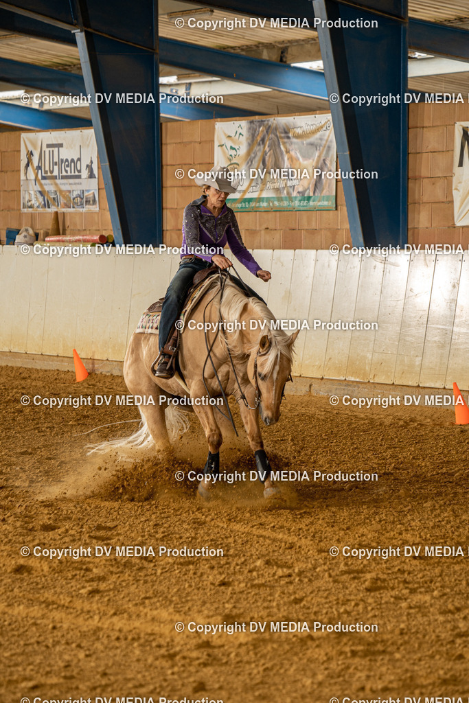 MIT01361 | dv-media-shop - Realisiert mit Pictrs.com