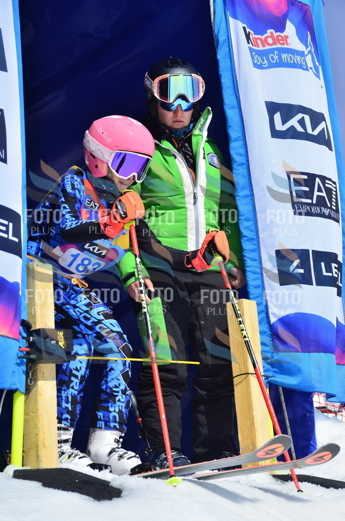 _ELE1236 | holidayphoto