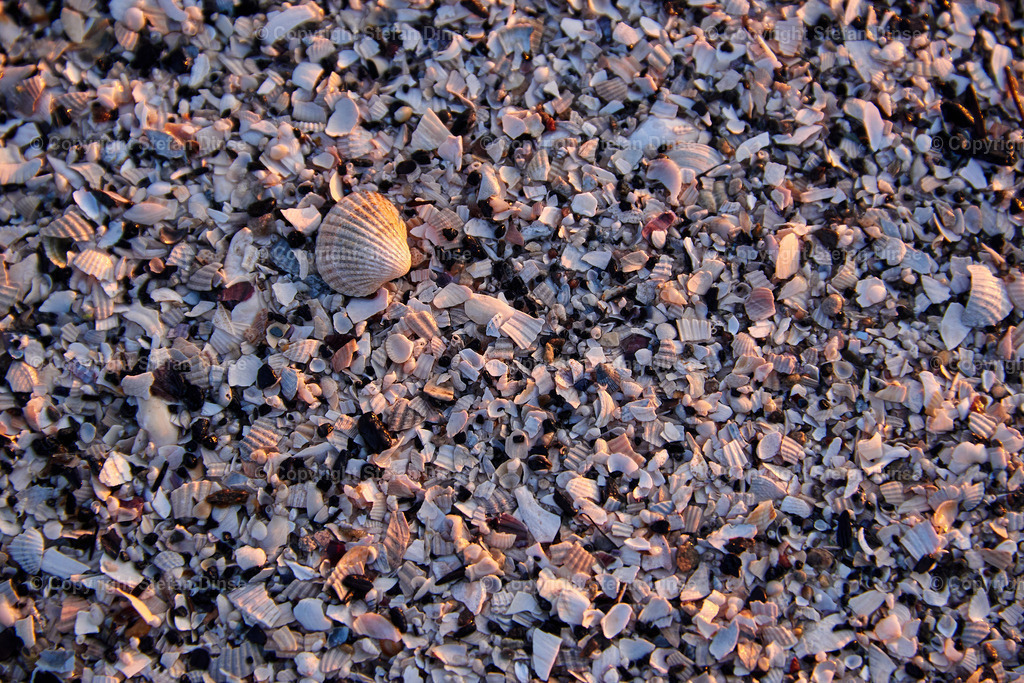 _DSC1434 1 | Findlinge im Eis, Zeesenboote bei der Traditionsregatta, eine Seebrücke im Sonnenaufgang - mit den Bildern aus dieser Galerie erhalten Sie wunderschöne Aufnahmen über das ganze Jahr. Ein tolles Produkt zum Verschenken, Werben oder zum Träumen vom nächsten - Realisiert mit Pictrs.com