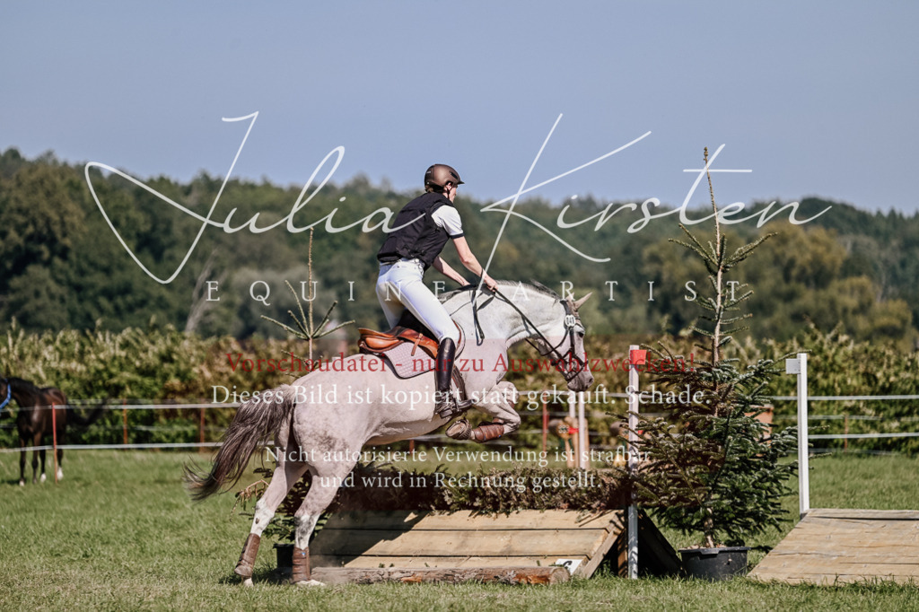 DSC_2862 | Pferde- und Turnierfotografie in Westsachsen. Pferdeportraits, Auftragszeichnungen und intuitive Kunst.