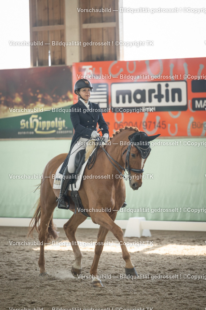 _D5A1430 | Emotionale Pferde- & People-Fotografie rund um Heidelberg, Leimen & Umgebung. Natürliche Fotos von Pferd, Mensch & Familie. Jetzt Termin sichern!