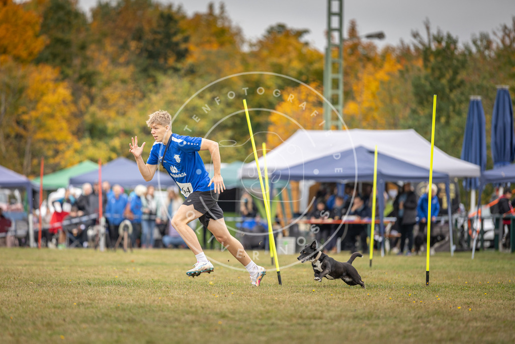 Pfotenfotografie_DV3A5245 | Hundefotografie, Tierfotograf, Pfotenfotografie, Fotoshooting Hund, Hunde Portrait, Hundesport, Hundeportraits, Heideshooting, Hunde, Sportfotograf, Hundefotograf, Turnierhundsport, THS,  - Realisiert mit Pictrs.com
