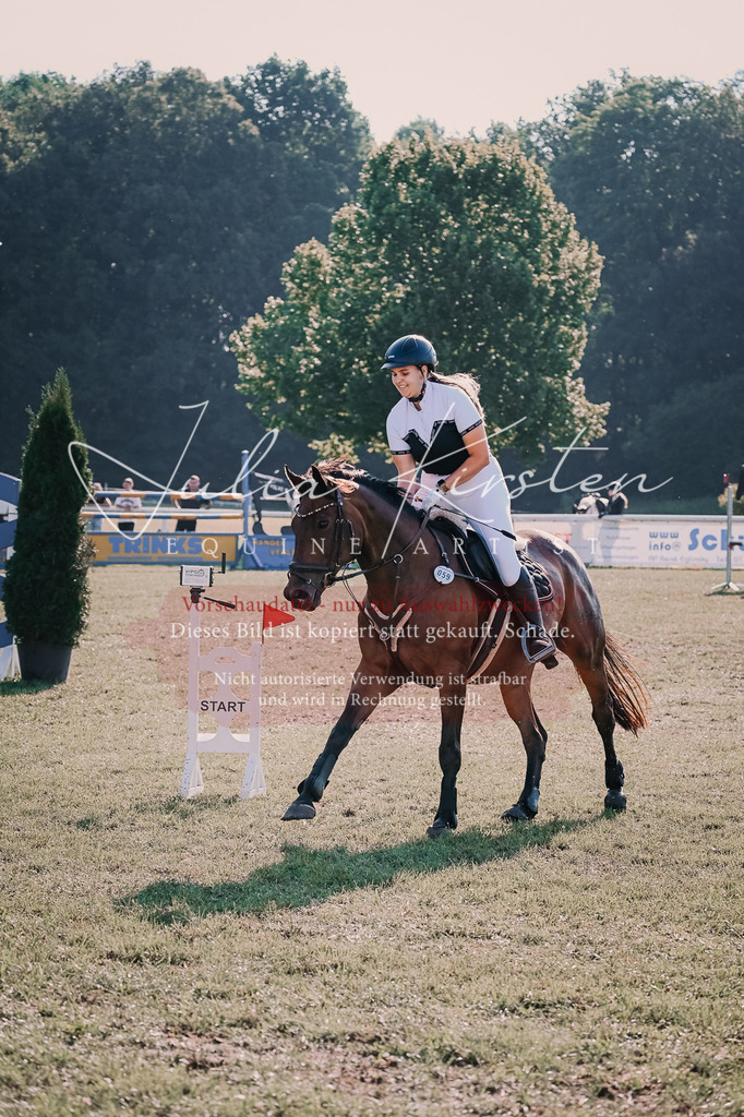 DSC_4605 | Pferde- und Turnierfotografie in Westsachsen. Pferdeportraits, Auftragszeichnungen und intuitive Kunst.