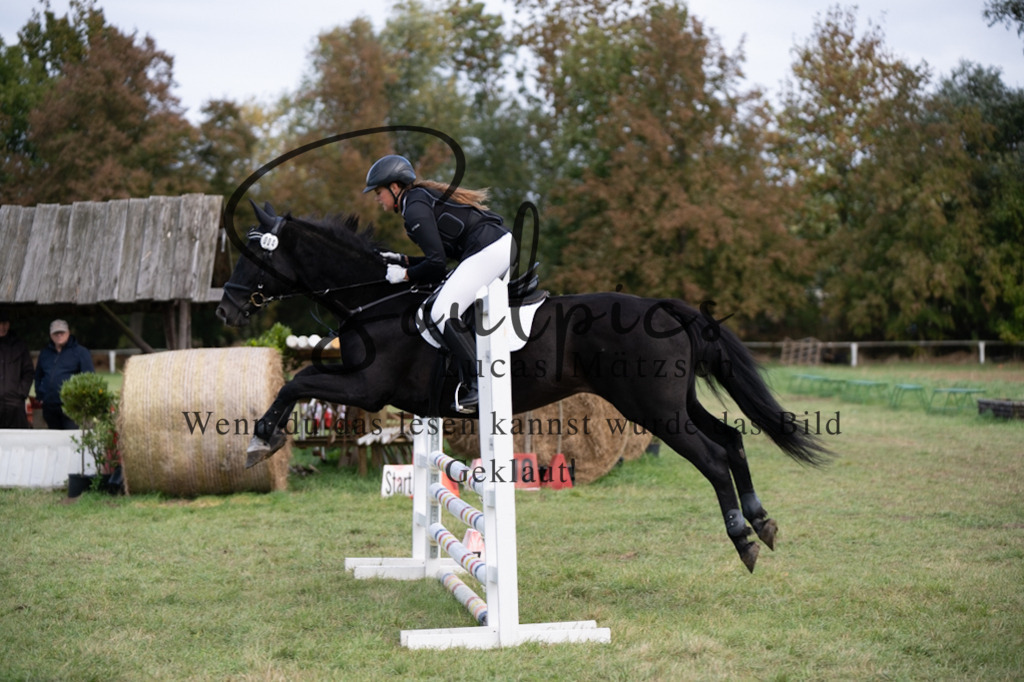 A7V06484 | Pferdefotograf