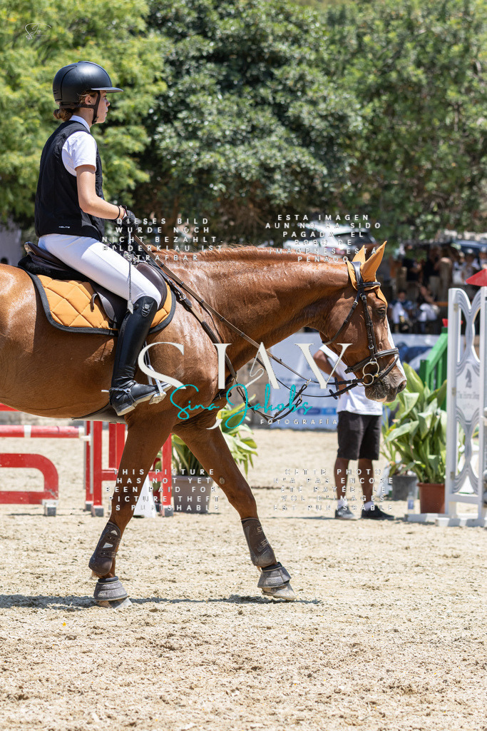 IMG_6645 | s-jay-photography - Realisiert mit Pictrs.com