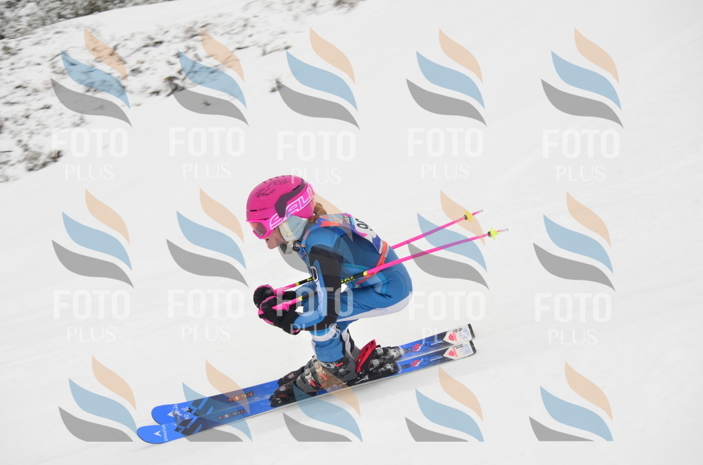 C1352 | holidayphoto