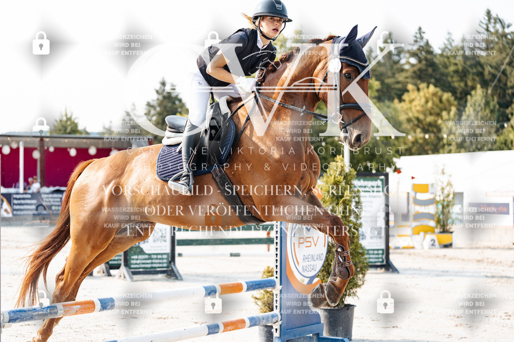 CK902829 | Turnierfotografie Pferdefotografie Trier Rheinland-Pfalz Pferdesport Reitsport Tierfotografie Sportfotografie Pferdevideo Pferdevideografie Equestrianvideography equestrianphotography  - Realisiert mit Pictrs.com