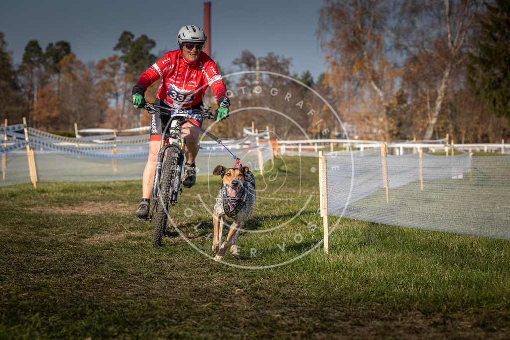 CaniXpix_0L8A8094 | Hundefotografie, Tierfotograf, Pfotenfotografie, Fotoshooting Hund, Hunde Portrait, Hundesport, Hundeportraits, Heideshooting, Hunde, Sportfotograf, Hundefotograf, Turnierhundsport, THS,  - Realisiert mit Pictrs.com